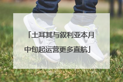 土耳其与叙利亚本月中旬起运营更多直航