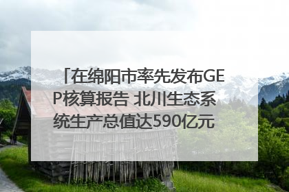 在绵阳市率先发布GEP核算报告 北川生态系统生产总值达590亿元｜新闻发布最前线
