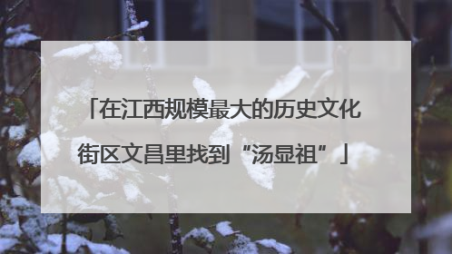 在江西规模最大的历史文化街区文昌里找到“汤显祖”