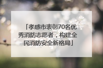 孝感市表彰70名优秀消防志愿者，构建全民消防安全新格局