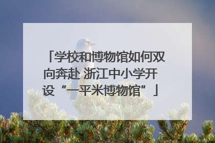 学校和博物馆如何双向奔赴 浙江中小学开设“一平米博物馆”