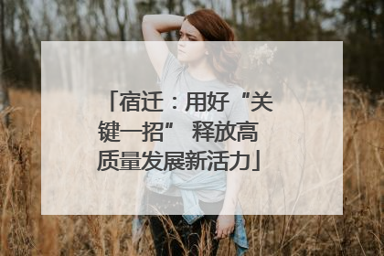 宿迁：用好“关键一招” 释放高质量发展新活力