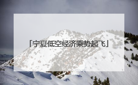 宁夏低空经济乘势起飞