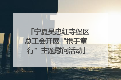 宁夏吴忠红寺堡区总工会开展“携手童行”主题慰问活动