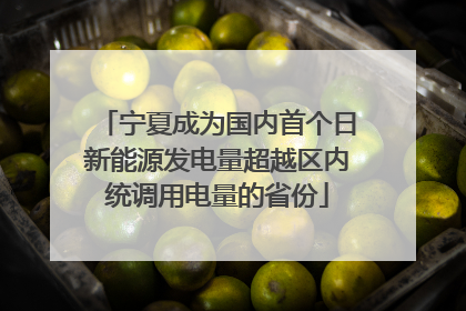 宁夏成为国内首个日新能源发电量超越区内统调用电量的省份