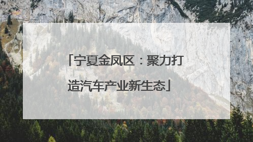 宁夏金凤区：聚力打造汽车产业新生态