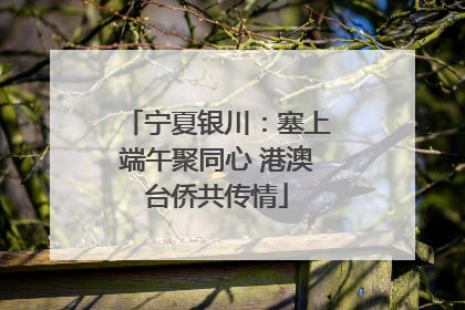 宁夏银川：塞上端午聚同心 港澳台侨共传情