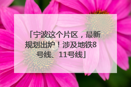宁波这个片区，最新规划出炉！涉及地铁8号线、11号线