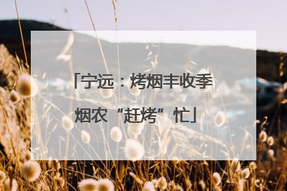 宁远：烤烟丰收季 烟农“赶烤”忙