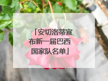 安切洛蒂宣布新一届巴西国家队名单