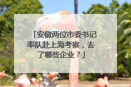 安徽两位市委书记率队赴上海考察，去了哪些企业？
