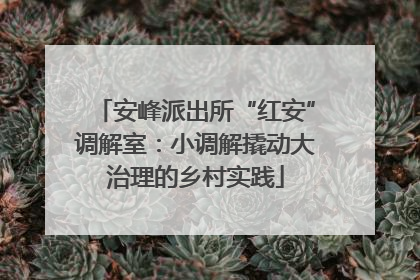 安峰派出所“红安”调解室：小调解撬动大治理的乡村实践