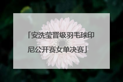 安洗莹晋级羽毛球印尼公开赛女单决赛