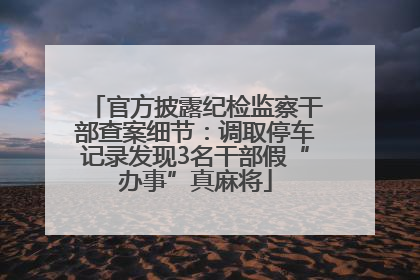 官方披露纪检监察干部查案细节：调取停车记录发现3名干部假“办事”真麻将