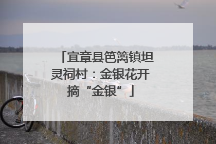 宜章县笆篱镇坦灵祠村：金银花开摘“金银”