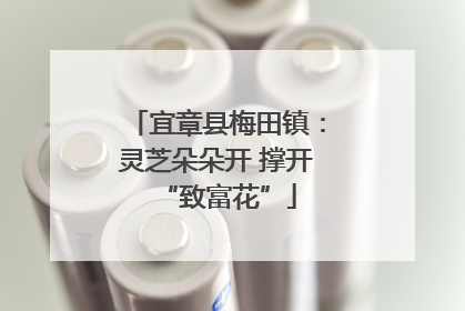 宜章县梅田镇：灵芝朵朵开 撑开“致富花”