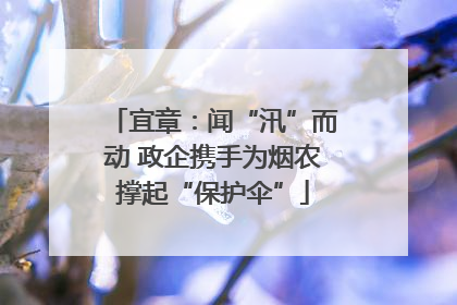 宜章：闻“汛”而动 政企携手为烟农撑起“保护伞”