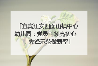 宜宾江安四面山镇中心幼儿园：党员引领亮初心，先锋示范做表率