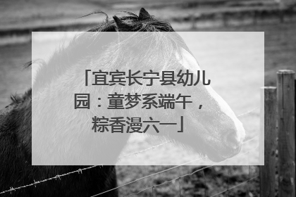 宜宾长宁县幼儿园：童梦系端午，粽香漫六一