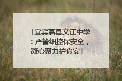 宜宾高县文江中学：严管细控保安全，凝心聚力护食安