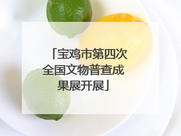 宝鸡市第四次全国文物普查成果展开展