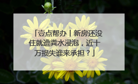 壹点帮办丨新房还没住就遭粪水浸泡，近十万损失谁来承担？