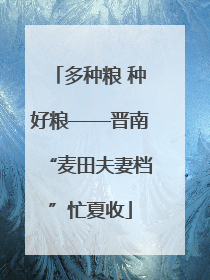 多种粮 种好粮——晋南“麦田夫妻档”忙夏收