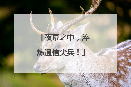夜幕之中，淬炼通信尖兵！