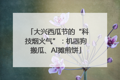 大兴西瓜节的“科技烟火气”：机器狗搬瓜、AI摊煎饼