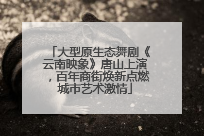 大型原生态舞剧《云南映象》唐山上演，百年商街焕新点燃城市艺术激情