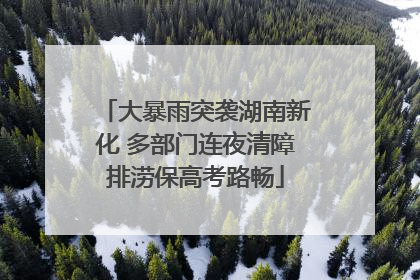大暴雨突袭湖南新化 多部门连夜清障排涝保高考路畅