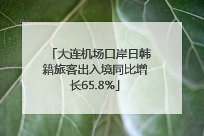 大连机场口岸日韩籍旅客出入境同比增长65.8%