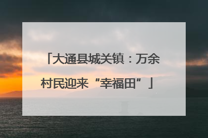 大通县城关镇：万余村民迎来“幸福田”