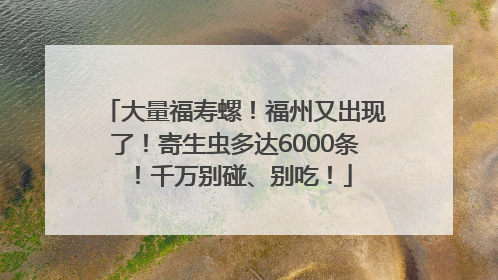 大量福寿螺！福州又出现了！寄生虫多达6000条！千万别碰、别吃！
