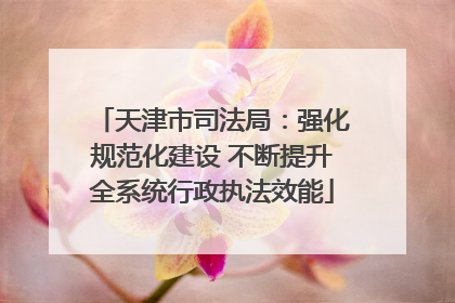 天津市司法局：强化规范化建设 不断提升全系统行政执法效能
