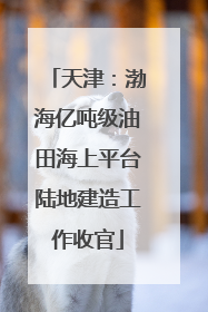 天津：渤海亿吨级油田海上平台陆地建造工作收官