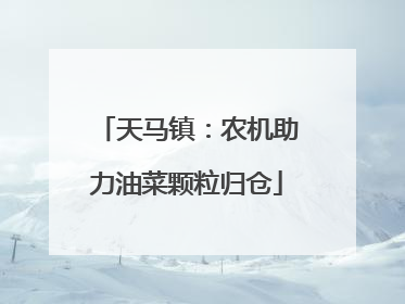 天马镇：农机助力油菜颗粒归仓