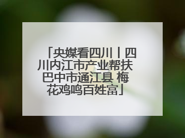 央媒看四川丨四川内江市产业帮扶巴中市通江县 梅花鸡鸣百姓富