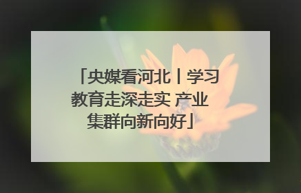 央媒看河北丨学习教育走深走实 产业集群向新向好