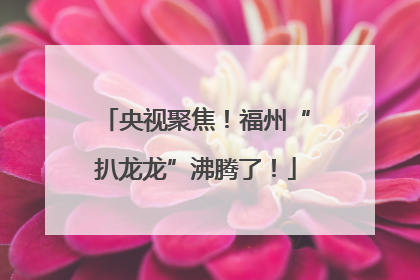 央视聚焦！福州“扒龙龙”沸腾了！