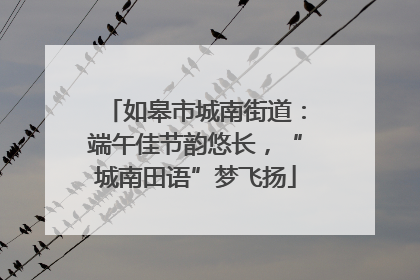 如皋市城南街道：端午佳节韵悠长，“城南田语”梦飞扬