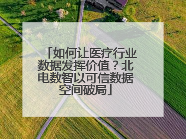 如何让医疗行业数据发挥价值？北电数智以可信数据空间破局