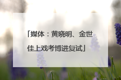 媒体：黄晓明、金世佳上戏考博进复试