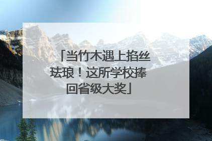 当竹木遇上掐丝珐琅！这所学校捧回省级大奖