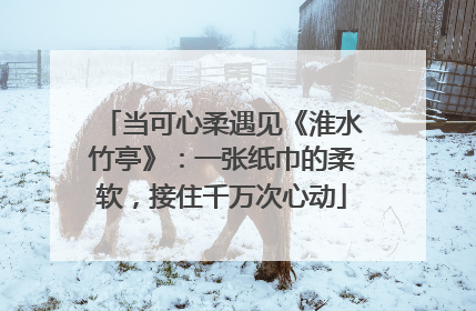 当可心柔遇见《淮水竹亭》：一张纸巾的柔软，接住千万次心动