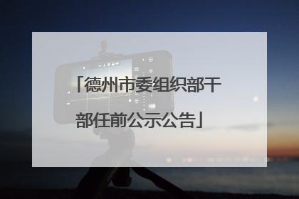 德州市委组织部干部任前公示公告