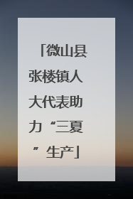 微山县张楼镇人大代表助力“三夏”生产