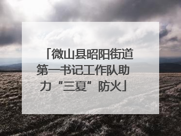 微山县昭阳街道第一书记工作队助力“三夏”防火