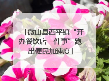 微山县西平镇“开办餐饮店一件事”跑出便民加速度