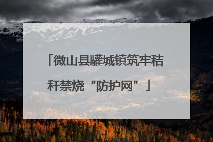 微山县驩城镇筑牢秸秆禁烧“防护网”
